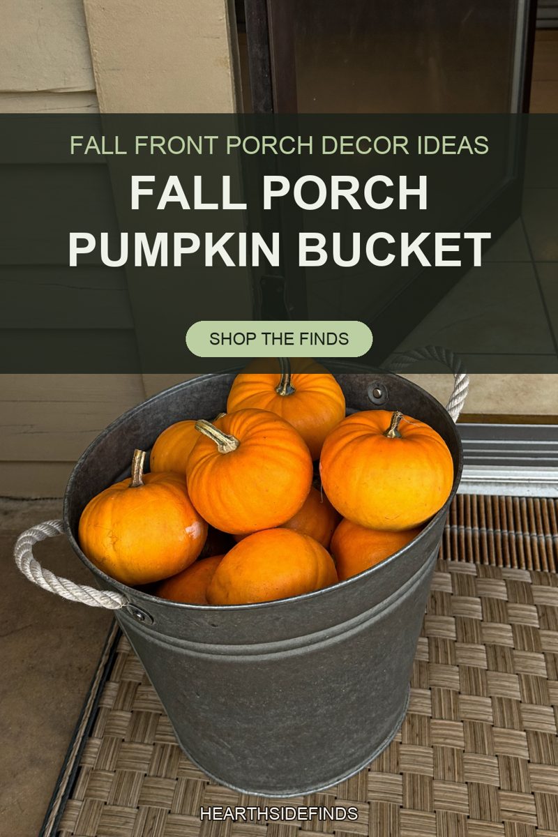 Galvanized bucket with white rope handles full of small orange pumpkins on a woven mat at a storm door.